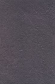 Minster Black Płyta Tarasowa 2.0 wall 59.5 x 89.5