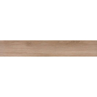 20x120(n) AREN SIENA (1 сорт)