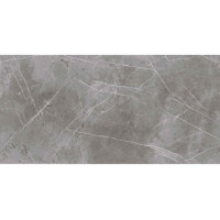 MARBLE MOOD сірий 60х120 matt
