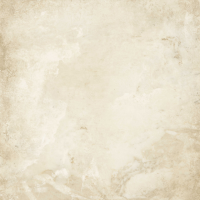 AVORIO 60*60 NT RT