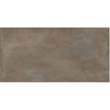 Burnt Umber natural rectified