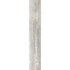 Bone
