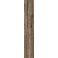 Chocolatebrown