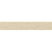 BIRCH LIGHT SL