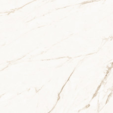 CALACATTA GOLD 60х120