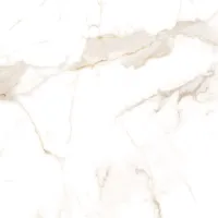 Alcora gold F P 600x600x8 R Glossy