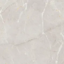 Arber silver F P 600x1200x8 R Sugar