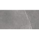 BEATRIS GREY (1 сорт)