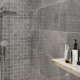 BEATRIS GREY (1 сорт)