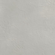 Avenue Xxl Silver 100х150
