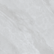 JW69101 DION (1 сорт)