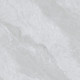 JW69101 DION (1 сорт)