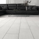 ASHENWOOD white (1 сорт)