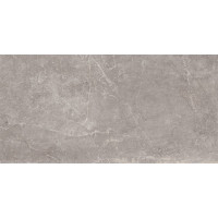 CONCEPT GREY RECTIFICADO 60X120 (1 сорт)