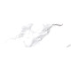 CARRARA BIANCO (1 сорт)