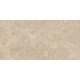 60x120(n) ALBA STONE GREIGE ### (1 сорт)