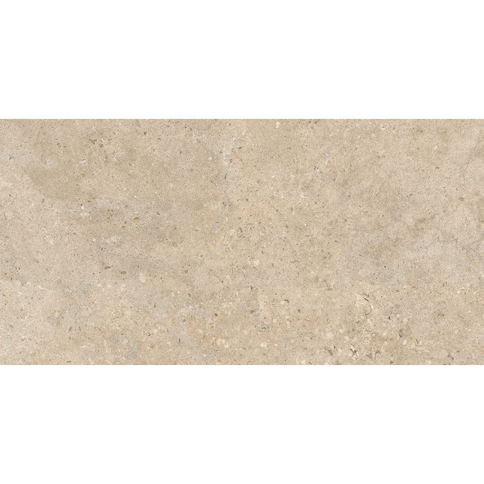 60x120(n) ALBA STONE GREIGE ### (1 сорт)