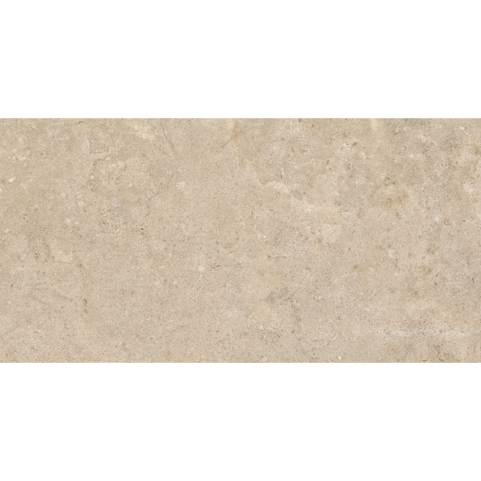 60x120(n) ALBA STONE GREIGE ### (1 сорт)