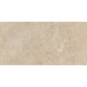 60x120(n) ALBA STONE GREIGE ### (1 сорт)