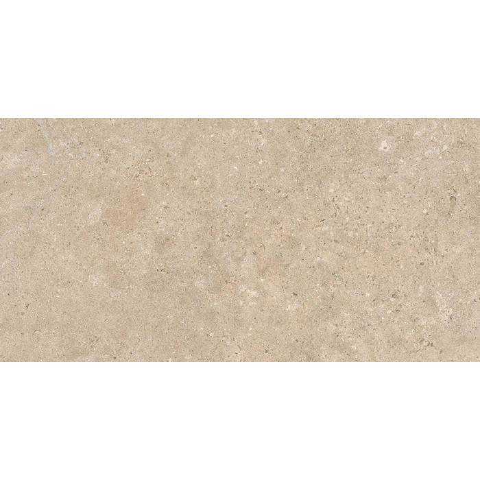 60x120(n) ALBA STONE GREIGE ### (1 сорт)