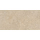 60x120(n) ALBA STONE GREIGE ### (1 сорт)