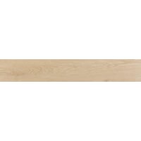 Плитка 20*120 Evoque Arce