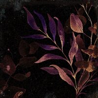 Плитка 14,8*14,8 Mayolica Woods (15*15)