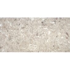 Плитка 60*120 Stone Nut Rec