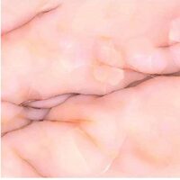 Плитка 120*120 Tele Di Marmo Pure Onyx Malva Full Lapp Rett Emgl 6,5 Mm