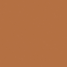 Плитка 20*20 Bauhome Terrakotta 27683