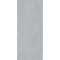 Плитка 120*278 Pigmento Grigio Avio Eln8
