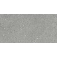 Плитка 60*120 Mitica Gris Rec.