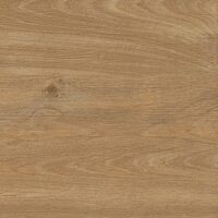 Плитка 60*60 Patagonia Castano 20Mm