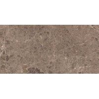 Плитка 78*158 Artic Moka Pulido