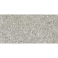 Плитка 50*100 Blue Stone Gris 5,6 Mm