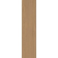 Плитка 20*120 Mother Cognac6 Sl 2012