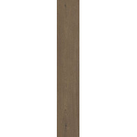 Плитка 20*120 Elisir Touch Whisky Matt Rect J739