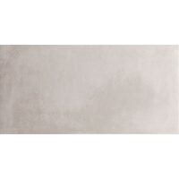 Плитка 60*120 Es.essen Ash Rect