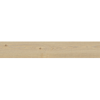 Плитка 20*120 Secret Beige Rc6M