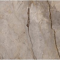 Плитка 119,3*119,3 Wild Forest Grey Natural Mix