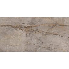 Плитка 59,55*119,3 Wild Forest Grey Polished