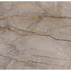 Плитка 59,55*59,55 Wild Forest Grey Polished