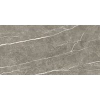 Плитка 60*120 Elite Graphite Pul