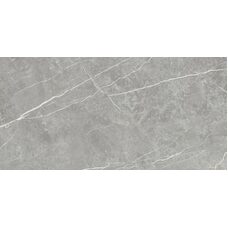 Плитка 60*120 Elite Gray Matt Rec