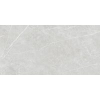 Плитка 60*120 Elite Silver Matt Rec