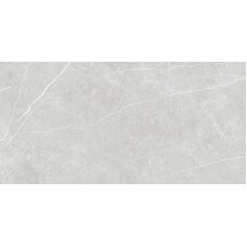 Плитка 60*120 Elite Silver Matt Rec