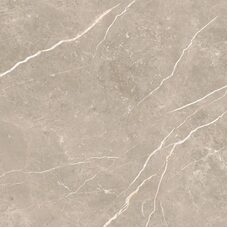 Плитка 60*60 Elite Greige Matt