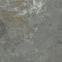 GNEIS GRIS REC NPLUS
