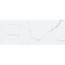 ICEBERG REC. NPLUS