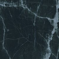 NEW ICE BLACK REC.